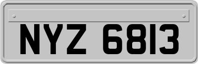 NYZ6813