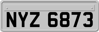 NYZ6873