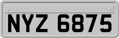 NYZ6875