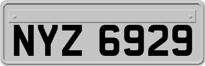 NYZ6929