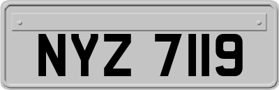 NYZ7119