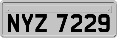 NYZ7229
