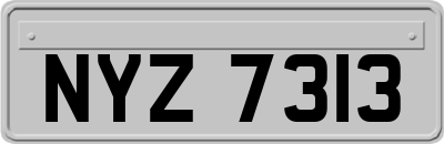 NYZ7313