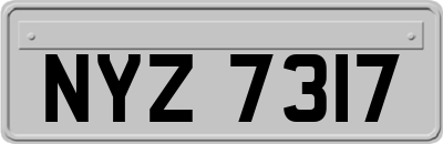 NYZ7317