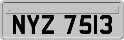 NYZ7513