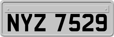 NYZ7529