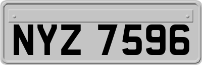 NYZ7596