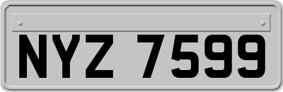 NYZ7599