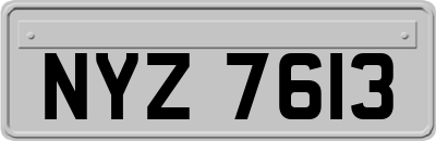 NYZ7613