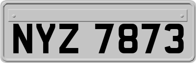 NYZ7873