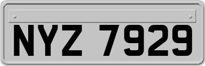 NYZ7929