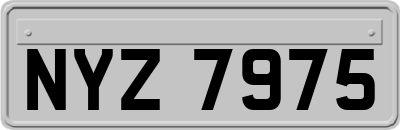 NYZ7975