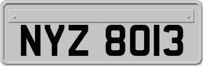 NYZ8013