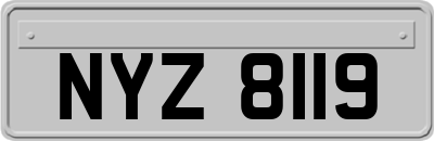 NYZ8119