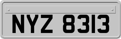 NYZ8313