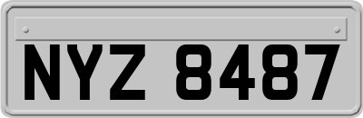NYZ8487