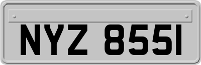 NYZ8551