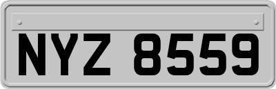 NYZ8559