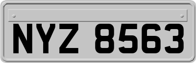 NYZ8563