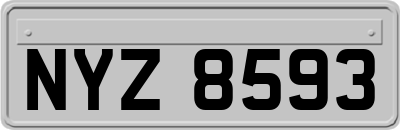 NYZ8593