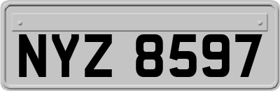 NYZ8597