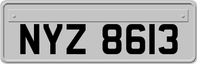 NYZ8613