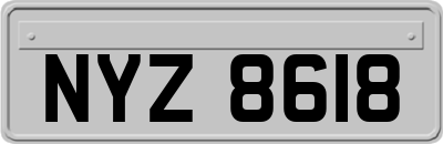 NYZ8618