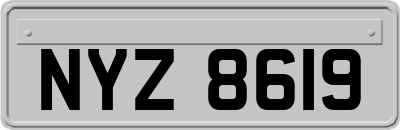 NYZ8619