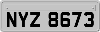 NYZ8673