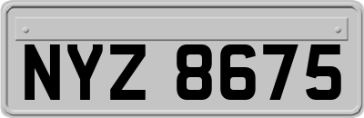 NYZ8675