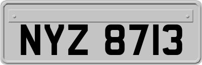 NYZ8713