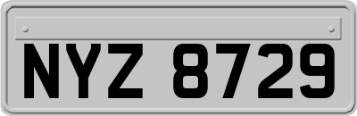 NYZ8729