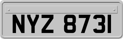 NYZ8731