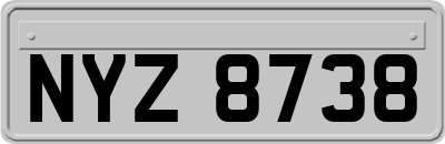 NYZ8738