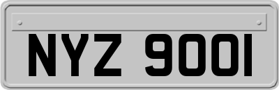 NYZ9001