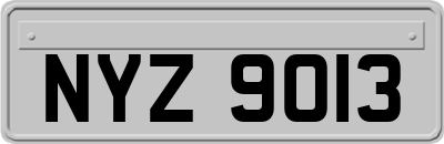 NYZ9013