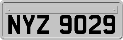 NYZ9029