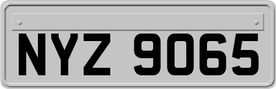 NYZ9065