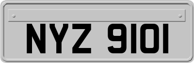 NYZ9101