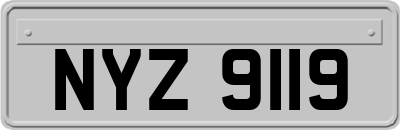 NYZ9119