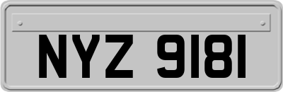 NYZ9181