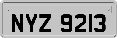 NYZ9213