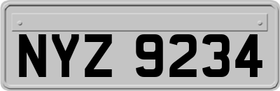 NYZ9234