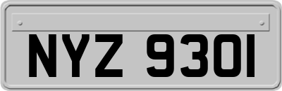 NYZ9301