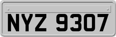 NYZ9307