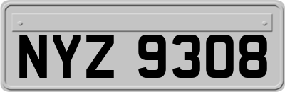 NYZ9308