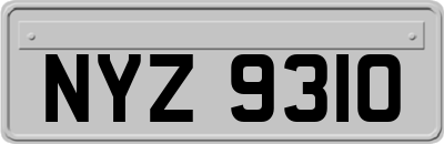 NYZ9310