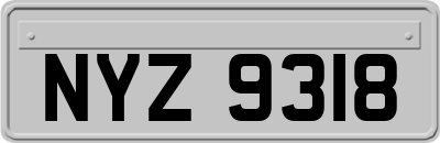 NYZ9318
