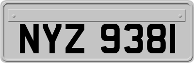 NYZ9381
