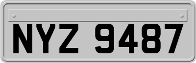 NYZ9487